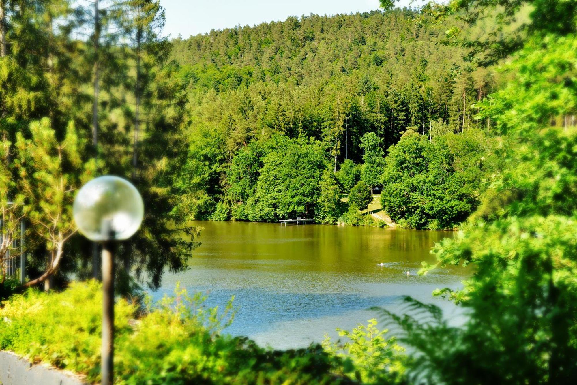 Das Dreiburgensee Naturhotel & Spa Thurmansbang Esterno foto